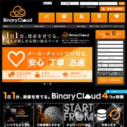 Binary Cloud