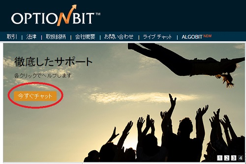オプションビットのサポート