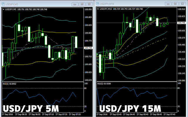 オプションビットダイナミックペイアウト