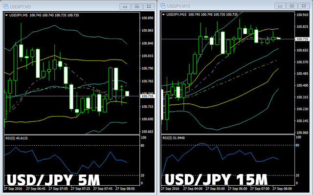オプションビットダイナミックペイアウト