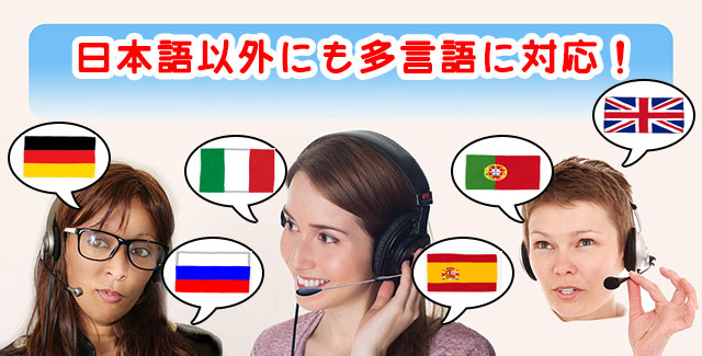 オプションビット_日本語