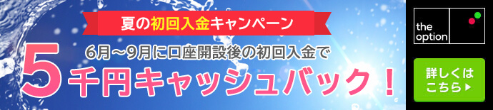 theoption(ザオプション)のキャンペーンを見逃すな!